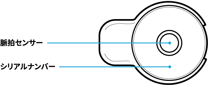 中央部に脈拍センサー、その下にシリアルナンバーが記載されています。